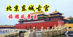 毛制服毛乱伦自慰网站中国北京-东城古宫旅游风景区